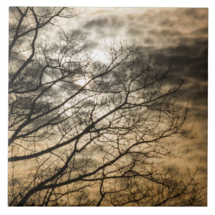 Cloudy Sun Scene Fliese
