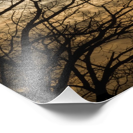 Cloudy Sun Scene Fotodruck (Ecke)