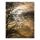 Cloudy Sun Scene Fotodruck (Vorne)