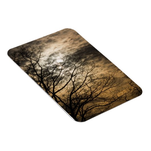 Cloudy Sun Scene Magnet (Rechte Seite)