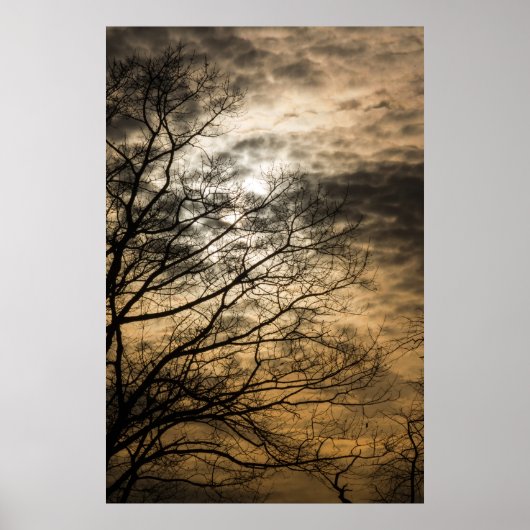 Cloudy Sun Scene Poster (Vorne)