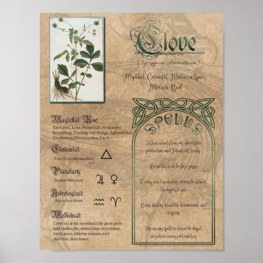 Clove Herbal Buch Schatten Pagan Wiccan Poster (Vorne)
