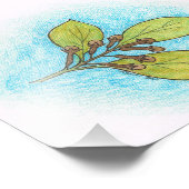 Clove Illustration Foto Print (Ecke)