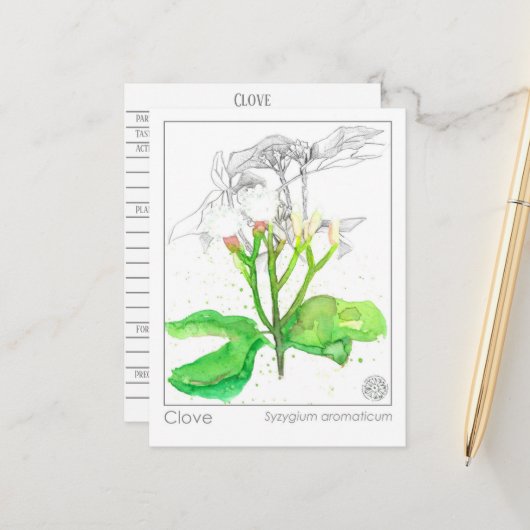Clove Spice Materia Medica Monograph Postkarte (Vorderseite/Rückseite Beispiel)
