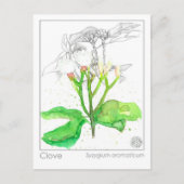 Clove Spice Materia Medica Monograph Postkarte (Vorderseite)