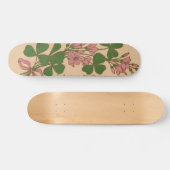 Clover Skateboard (Horizontal)