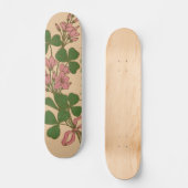 Clover Skateboard (Vorderseite)