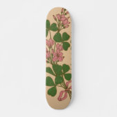 Clover Skateboard (Vorne)