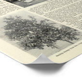 Cloverdale, Kalifornien Poster (Ecke)