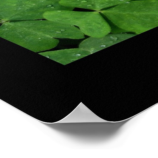 Cloverleaf Triptych Poster (Ecke)
