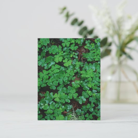Clovers Benutzerdefinierte Postkarte (Stehend Vorderseite)