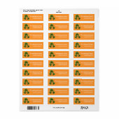 Clovers d1 Irish St. Patrick's Day Address Labels (Vorne)