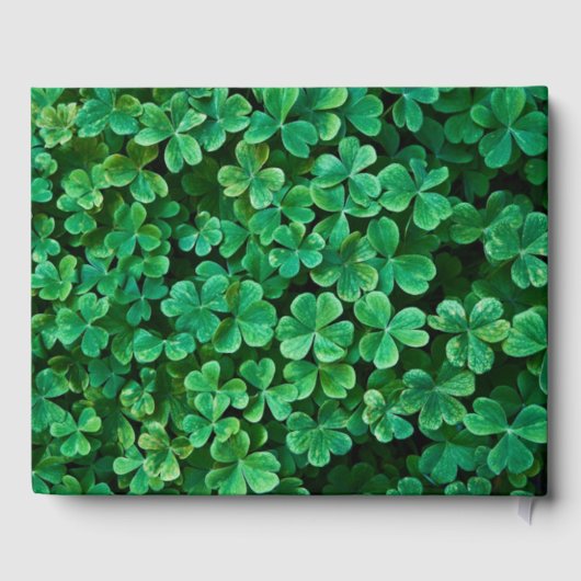 Cloversat Hochzeit und Empfang Gästebuch (Rückseite)