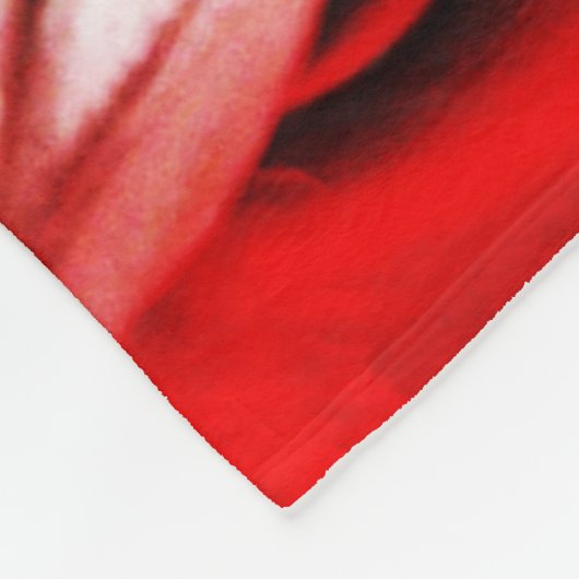 Clown 1 fbcna fleecedecke (Ecke)