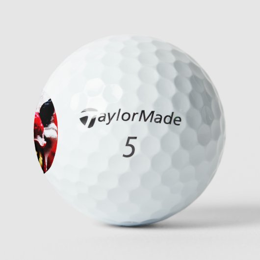 Clown 1 tmtp5 gbcna golfball (Logo)