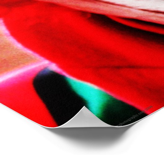 Clown 1 wapcn poster (Ecke)