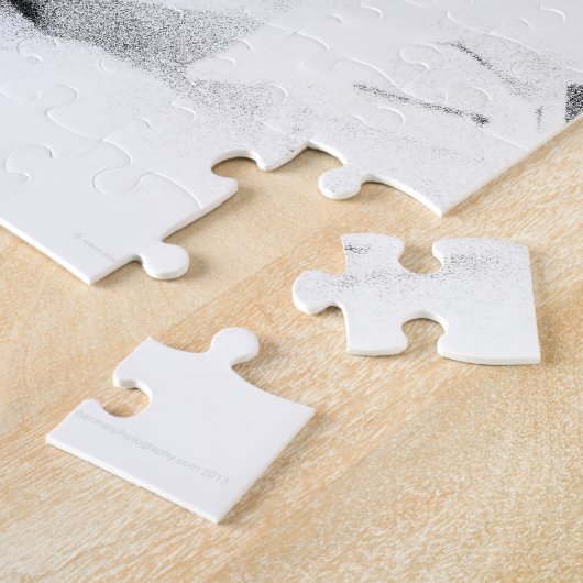 Clown 3 11x14 30pc jpcna puzzle (Seite)