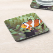 Clown anemonefish 4 untersetzer (Linke Seite)