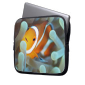 Clown Anemonefish Laptopschutzhülle (Vorderseite Links)