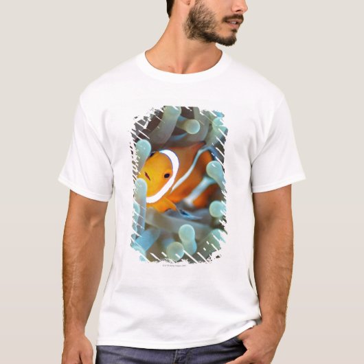 Clown Anemonefish T-Shirt (Vorderseite)