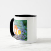 Clown anemonefish tasse (Vorderseite Links)
