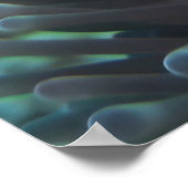 Clown Anenomefish Poster (Ecke)