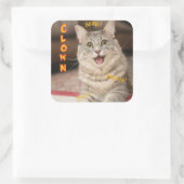 Clown Cat Quadratischer Aufkleber (Tasche)