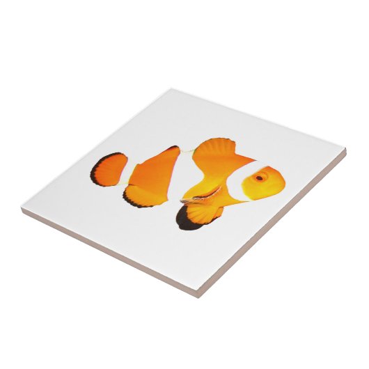 Clown-Fisch-Keramik-Fliese Fliese (Seite)