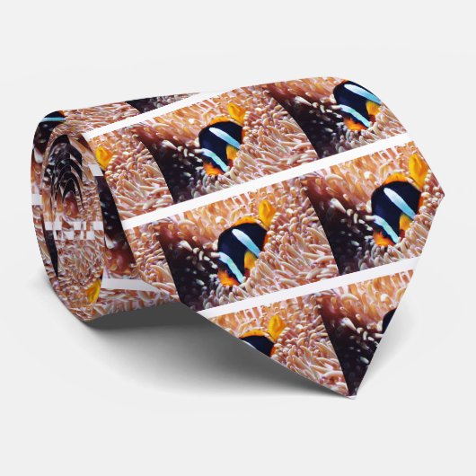 Clown-Fisch-tropische Fische Krawatte (Gerollt)