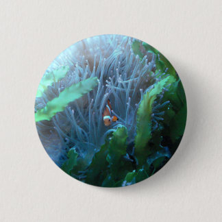 Clown-Fische Button