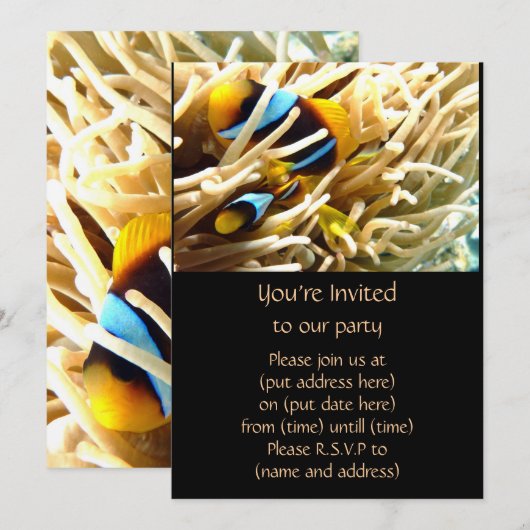 Clown-Fische Einladung (Vorne/Hinten)