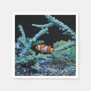 Clown-Fische in der Koralle Serviette