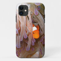 Clown-Fische iPhone 5 Abdeckung