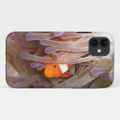 Clown-Fische iPhone 5 Abdeckung Case-Mate iPhone Hülle (Rückseite (Horizontal))