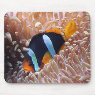 Clown-Fische Mousepad
