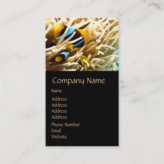 Clown Fish Business Cards Visitenkarte (Vorderseite)