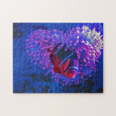 Clown Fish Coral Reef Lebewesen Meereslebewesen Ar Puzzle (Horizontal)
