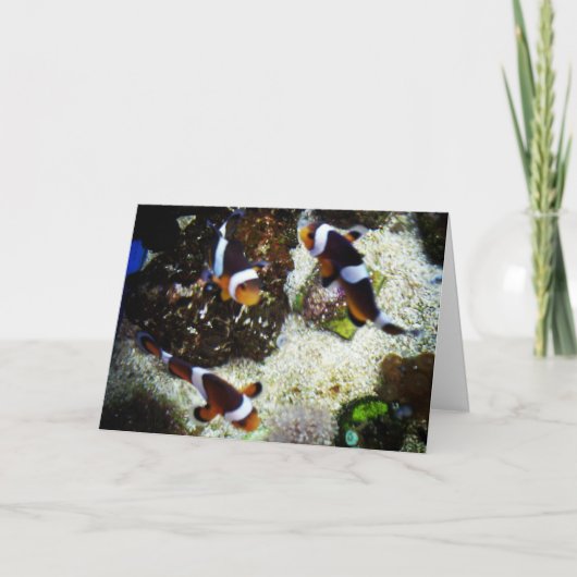 "Clown Fish" Geburtstagskarte Karte (Vorderseite)