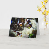 "Clown Fish" Get Well Card Karte (Gelbe Blume)