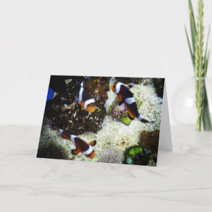 "Clown Fish" Get Well Card Karte