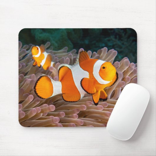 Clown Fish Mouse Pad Mousepad (Mit Mouse)