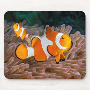 Clown Fish Mouse Pad Mousepad