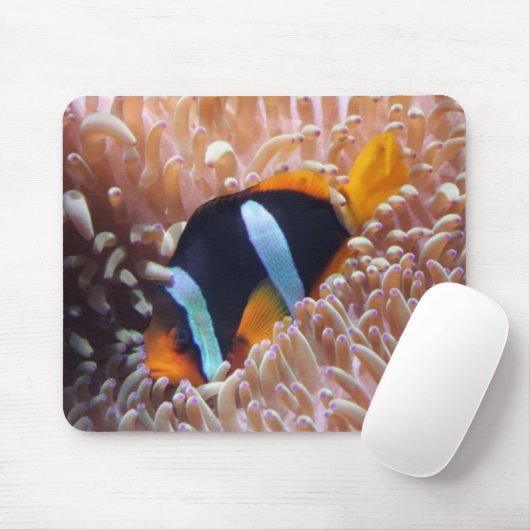 Clown Fish Mousepad (Mit Mouse)