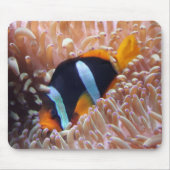 Clown Fish Mousepad (Vorne)