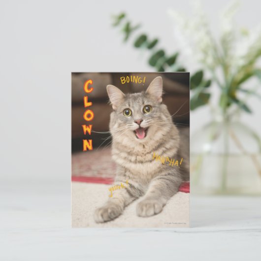 Clown-Katze Postkarte (Stehend Vorderseite)