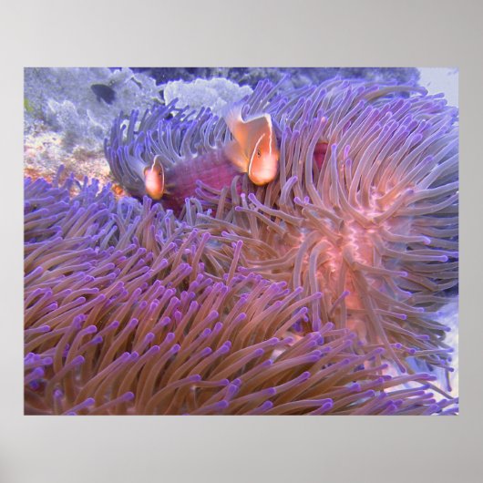 Clown Poster (Vorne)