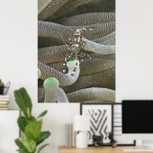 Clown Shrimp Poster (Heimbüro)
