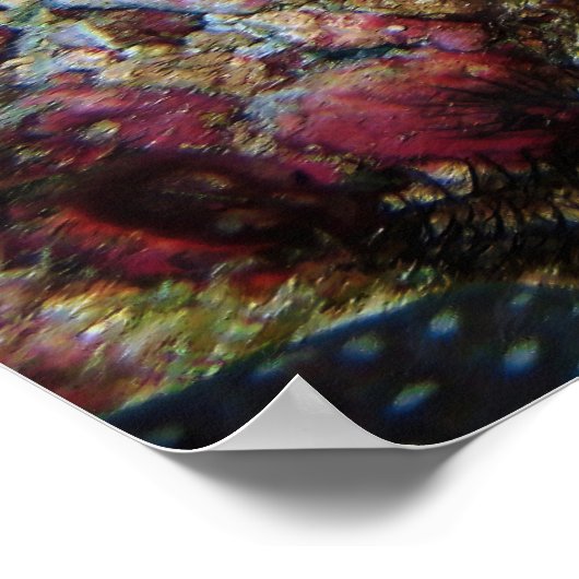 Clown Triggerfish Poster (Ecke)