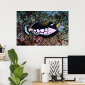 Clown Triggerfish Poster (Heimbüro)