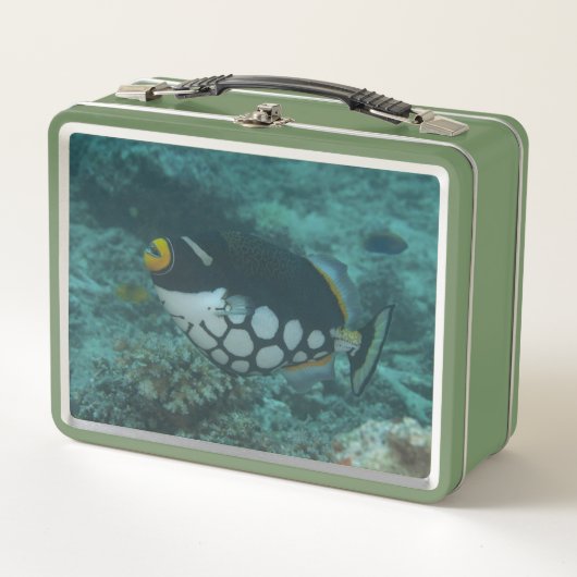 Clown Triggerfish Swims in Bega Lagoon Fidschi Metall Brotdose (Vorderseite)